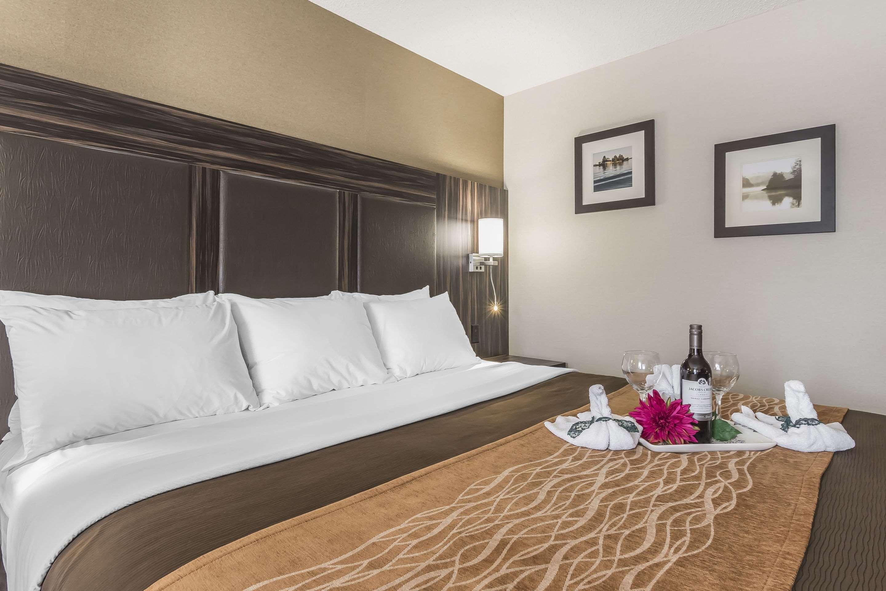 Comfort Inn Trenton Exteriér fotografie